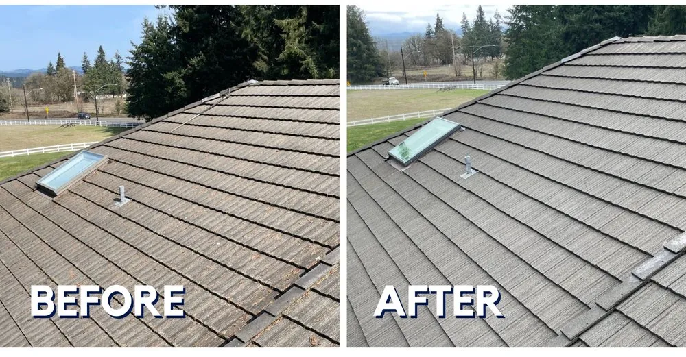 Slide of Northwest Roof Maintenance