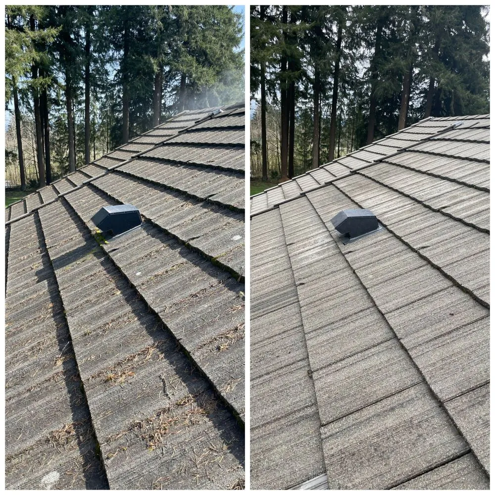 Slide of Northwest Roof Maintenance