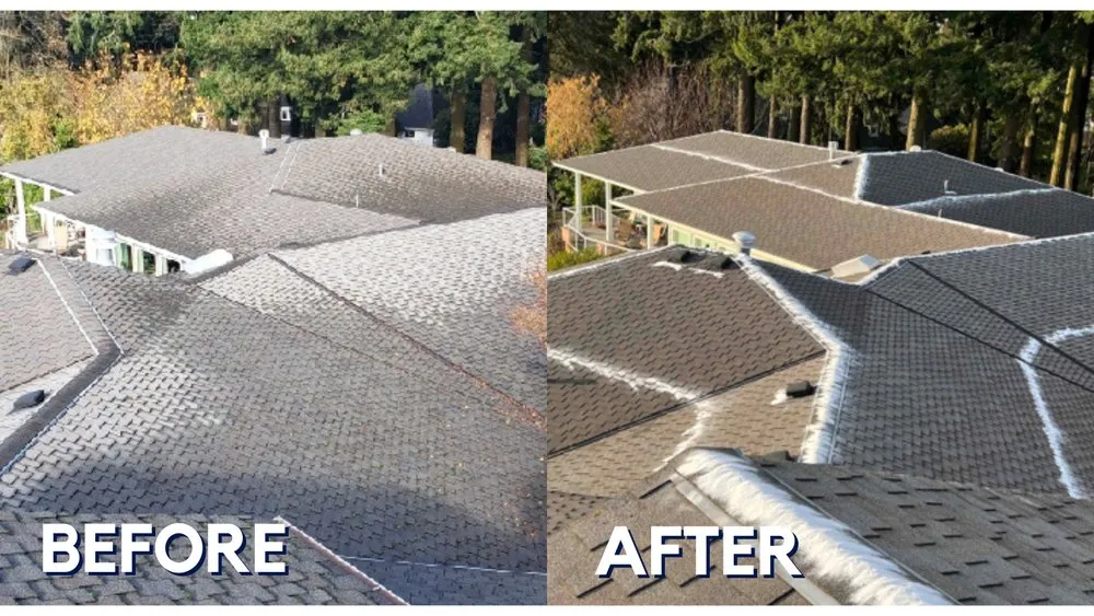 Slide of Northwest Roof Maintenance