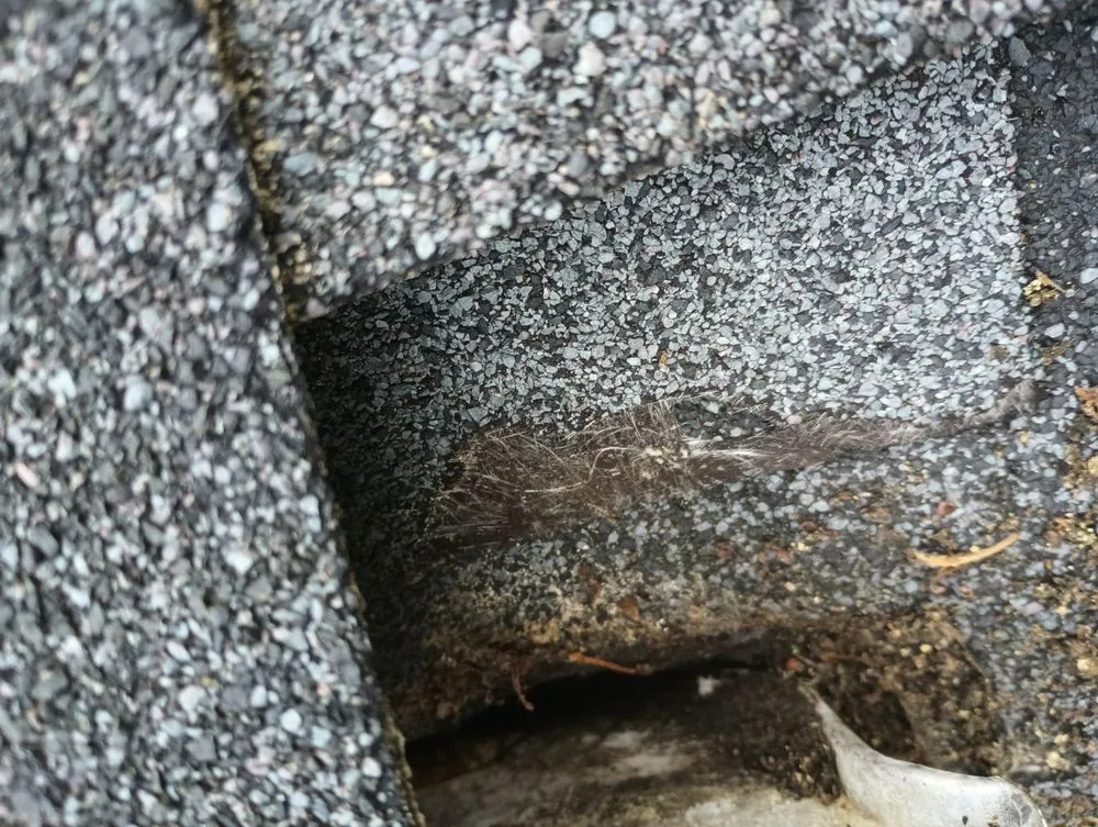 Slide of Northwest Roofing & Repairs