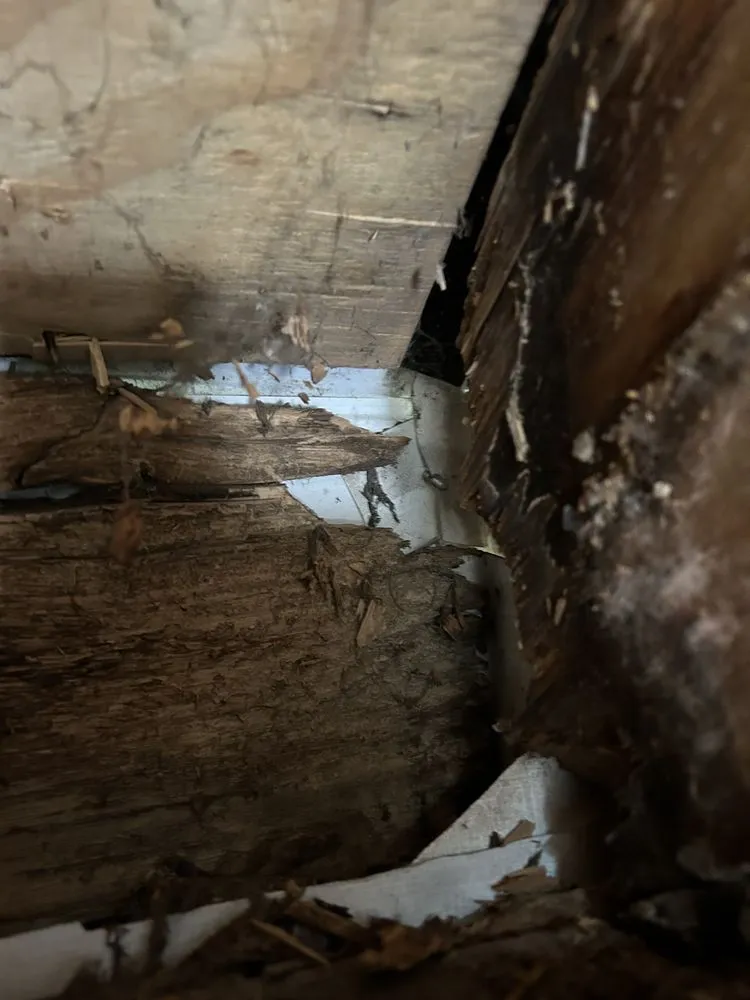 Slide of Norton Sons Roofing