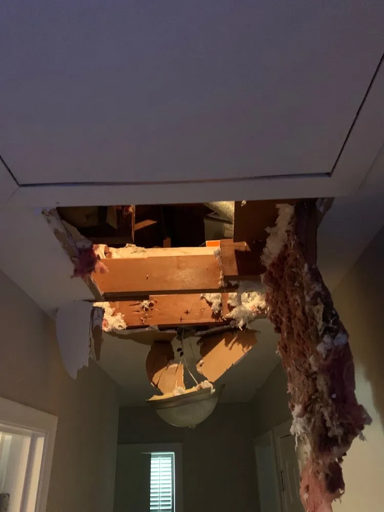 Slide of NTX Development Services