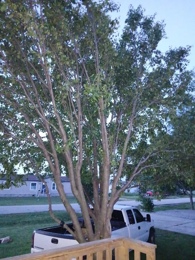 Slide of NTX Tree Service