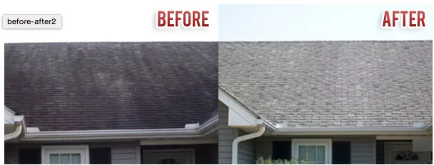 Slide of Nutmeg Roof Cleaning