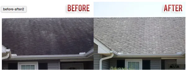 Nutmeg Roof Cleaning Logo