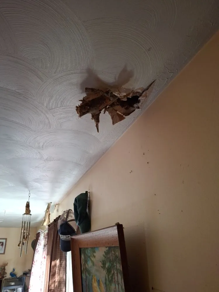 Slide of NVB Contracting