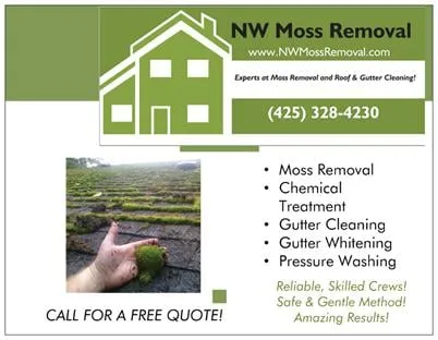 Slide of NW Moss Removal