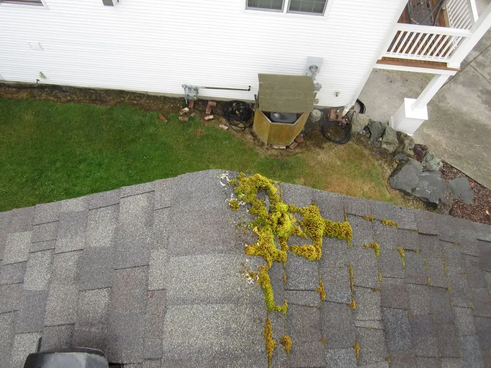 Slide of NW Moss Removal