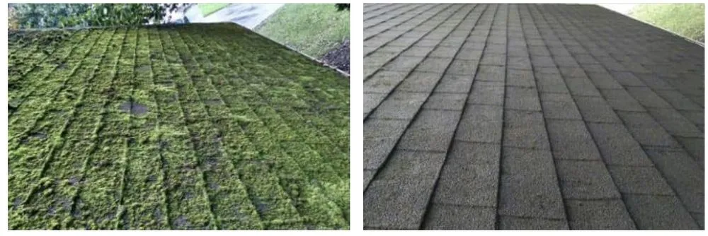 Slide of NW Moss Removal