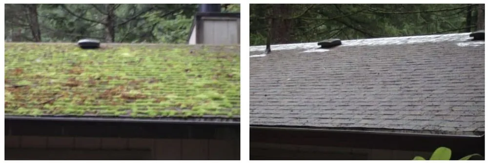 Slide of NW Moss Removal