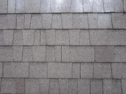 Slide of NW Moss Removal