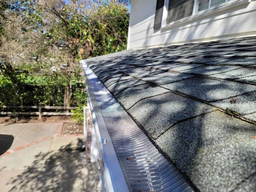 Slide of NW Moss Removal