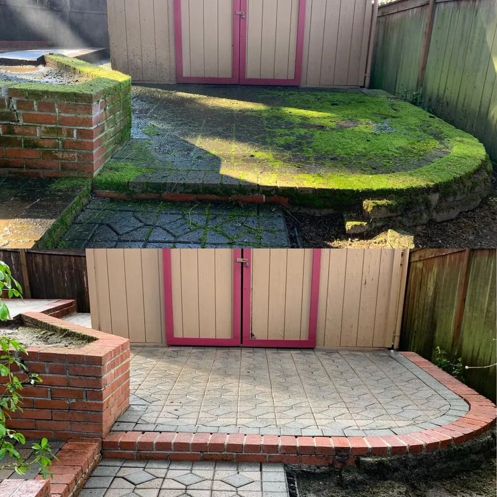 Slide of NW Surface Cleaner