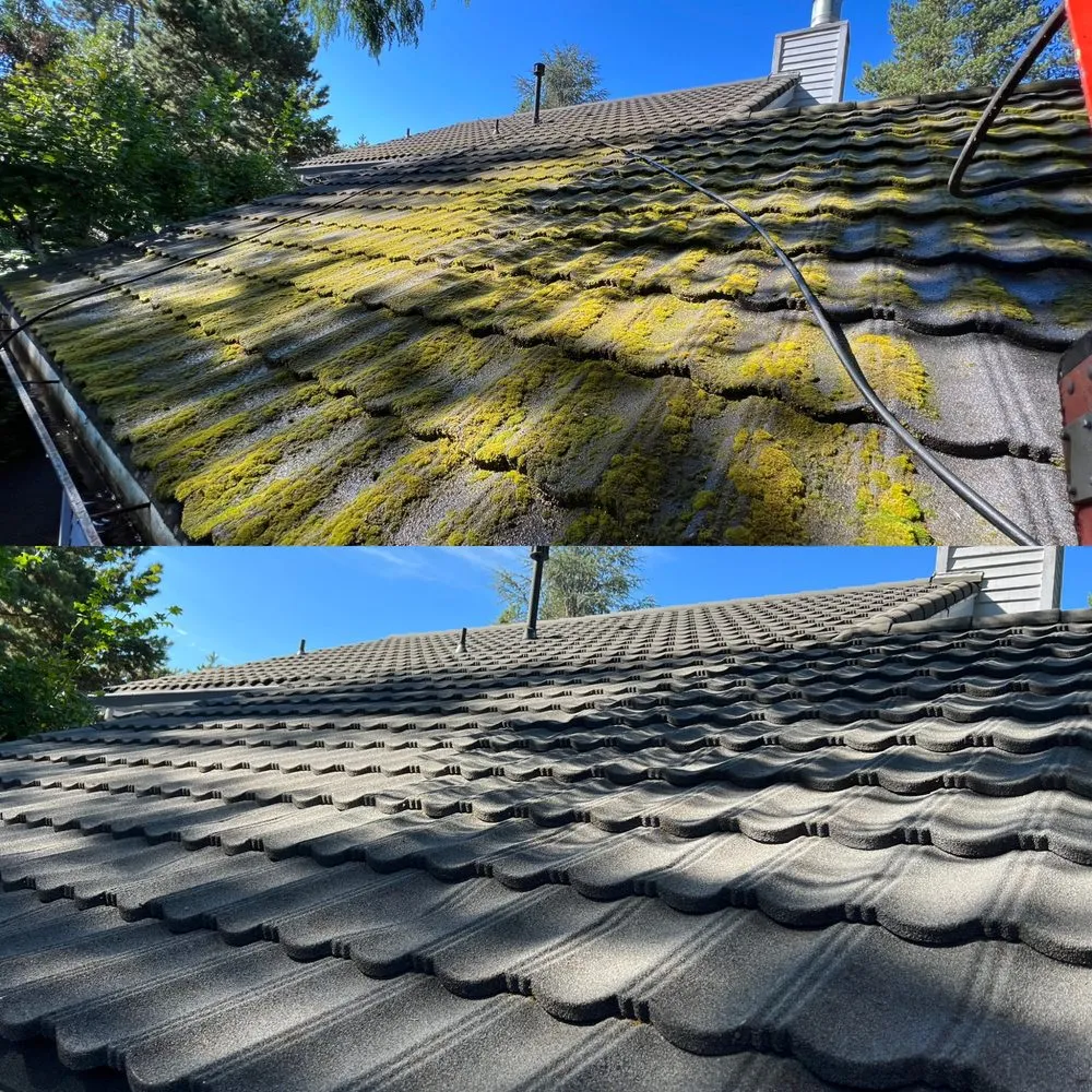 Slide of NW Surface Cleaner