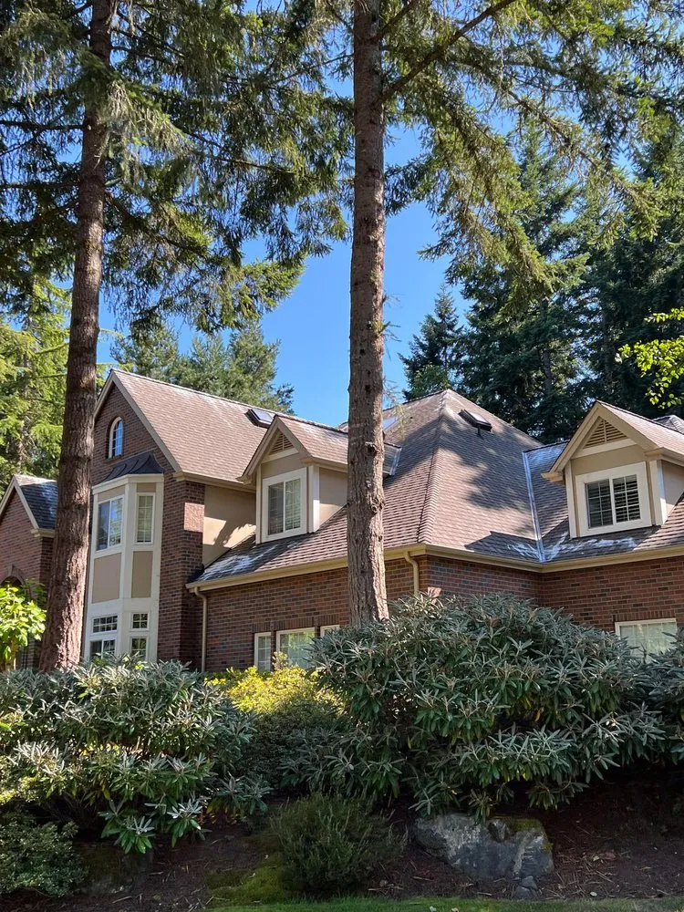 Slide of NW Window & Gutter