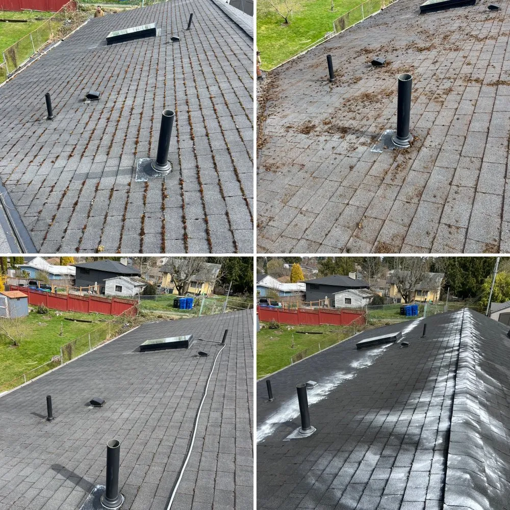 Slide of NW Window & Gutter