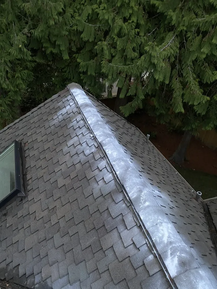 Slide of NW Window & Gutter