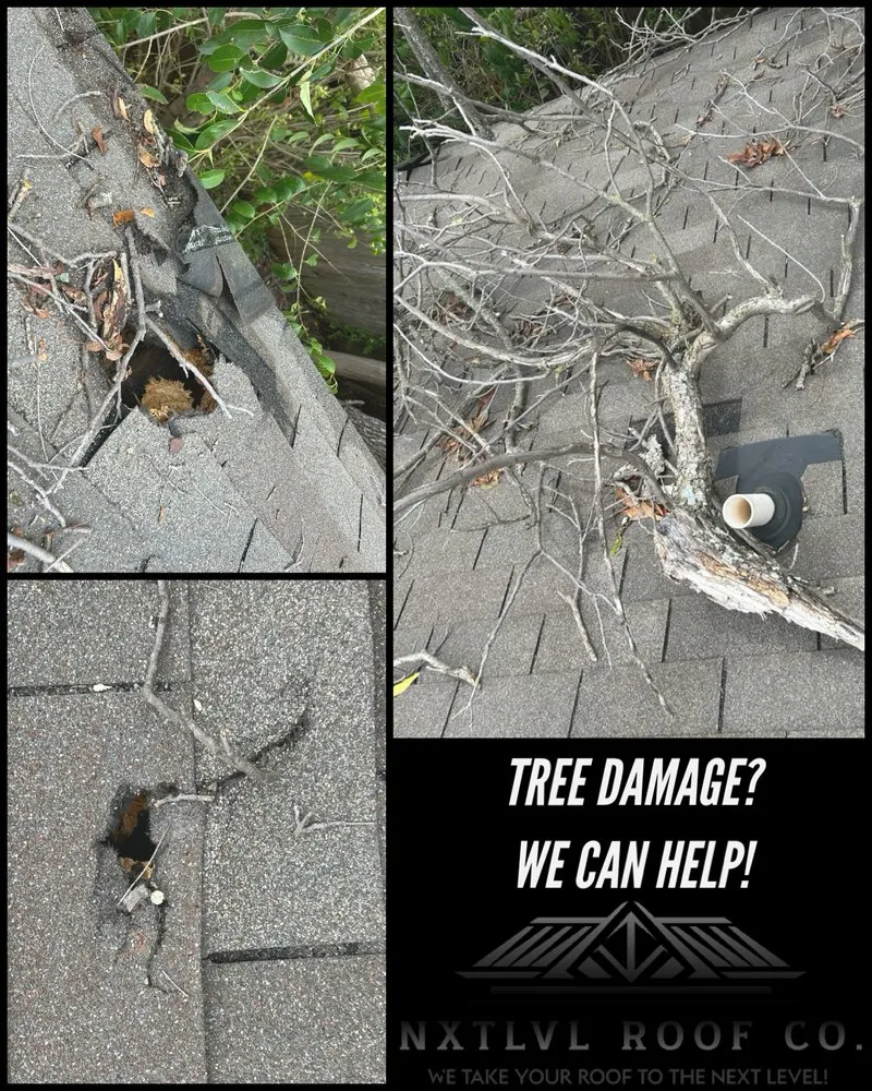 Slide of NxtLvl Roof