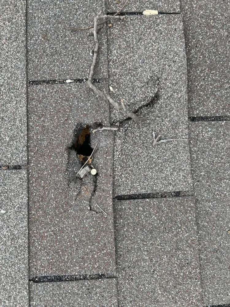 Slide of NxtLvl Roof