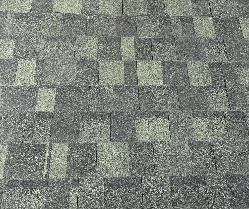 Slide of NxtLvl Roof