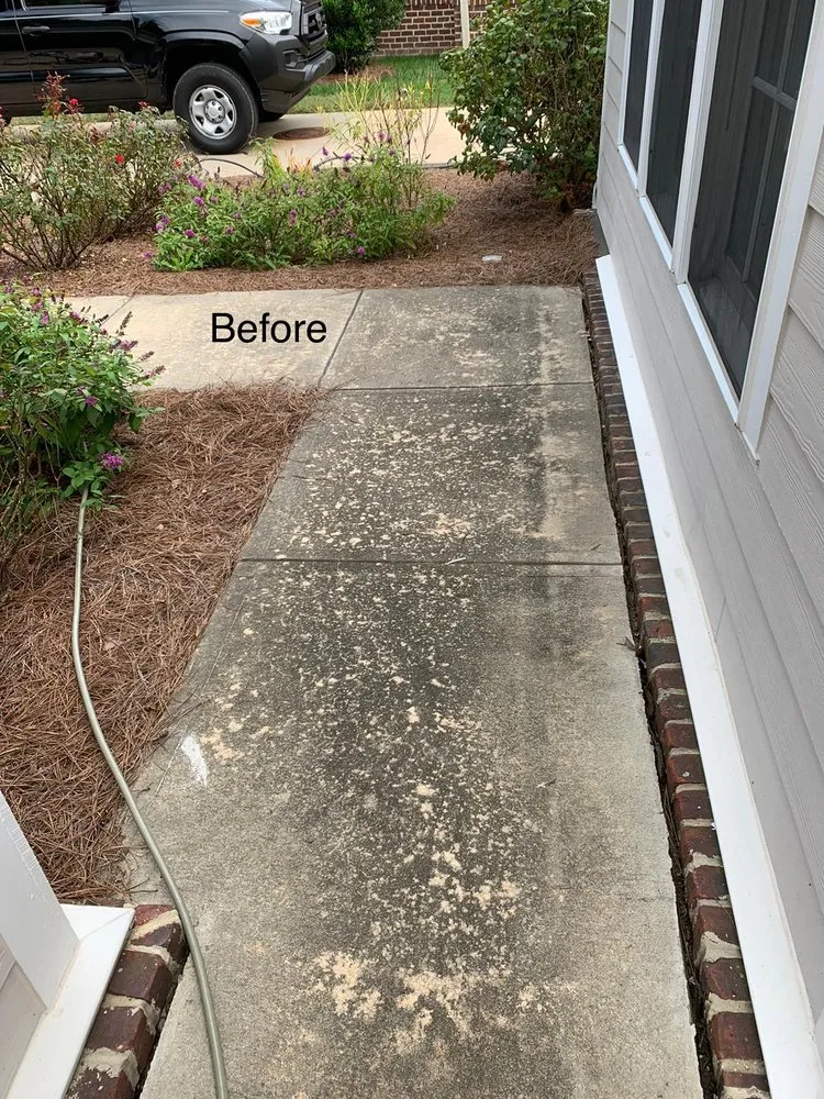 Slide of N&Y Professional