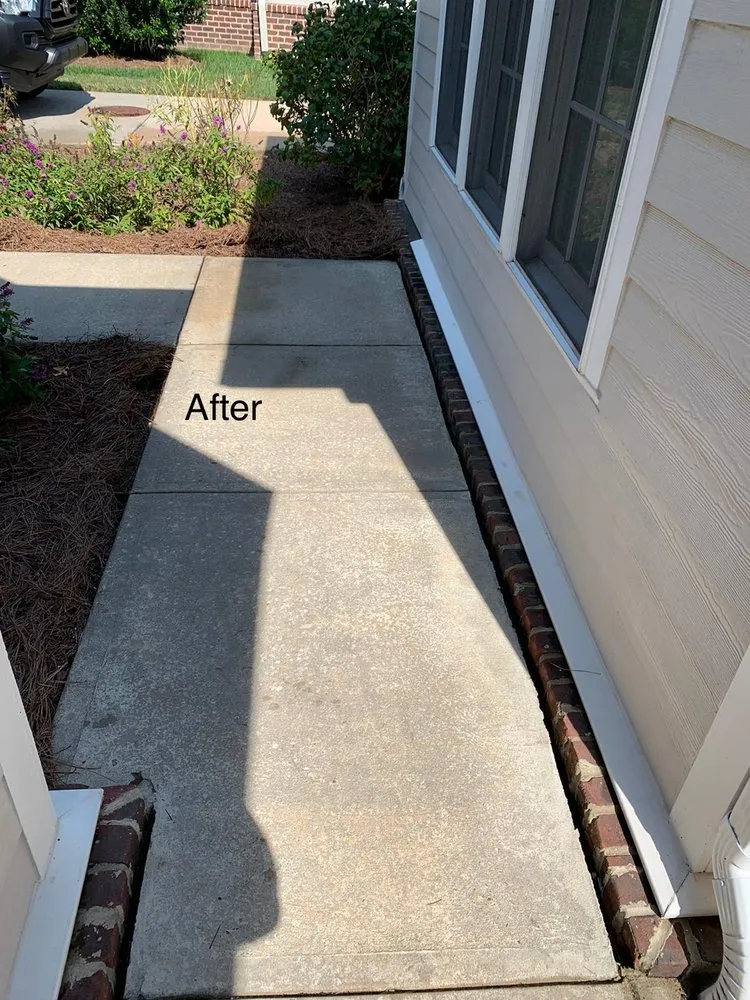 Slide of N&Y Professional