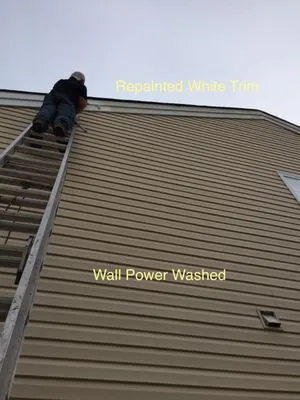 N&Y Professional Logo