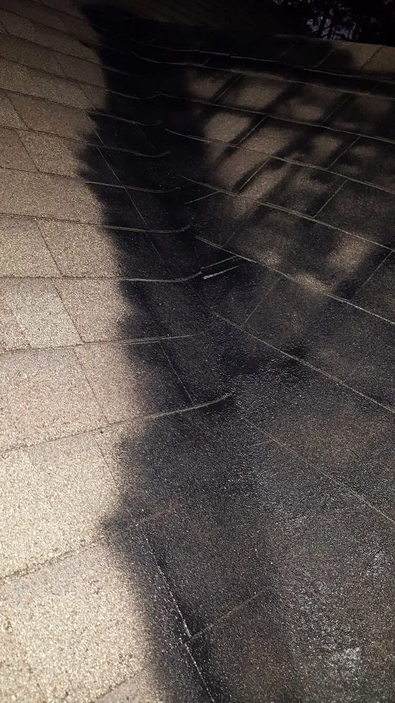 Top-rated roof leak repair for fast service across St. Marys, GA - Oakley Prestige Roofing