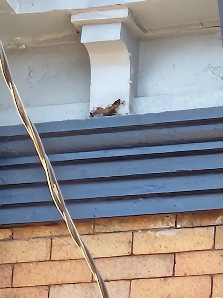 Slide of O'Bannon Family Roofing, Windows, and Siding
