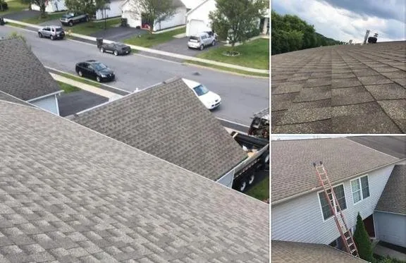 Slide of OCD Quality Services