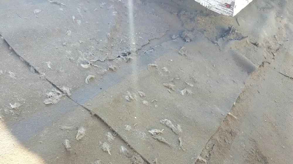 Slide of Ocean Roofing