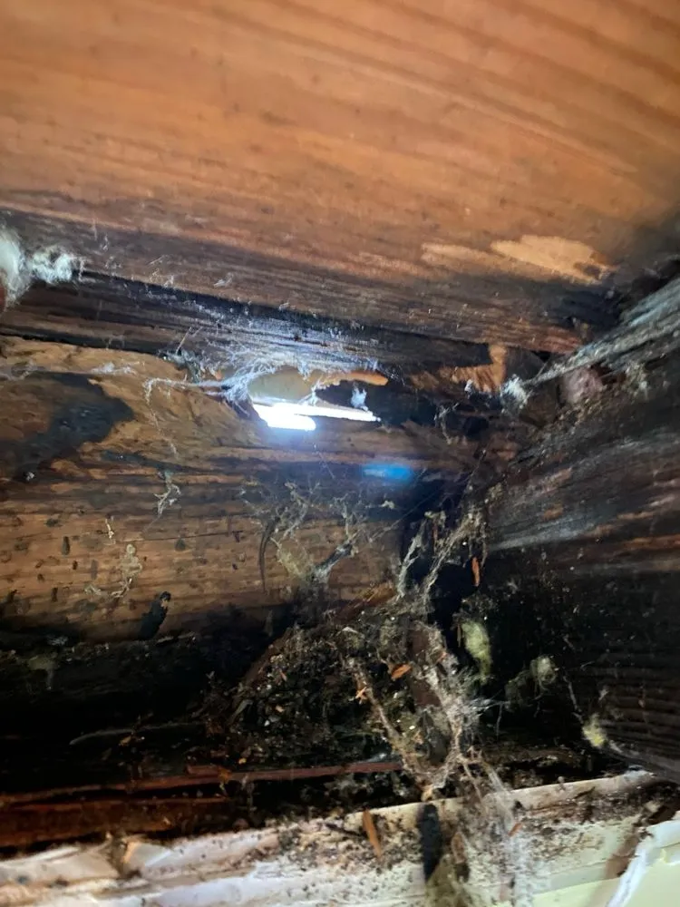 Slide of Ocean Roofing