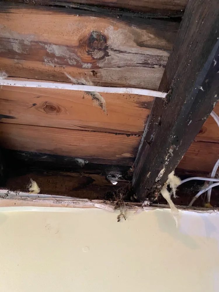 Slide of Ocean Roofing