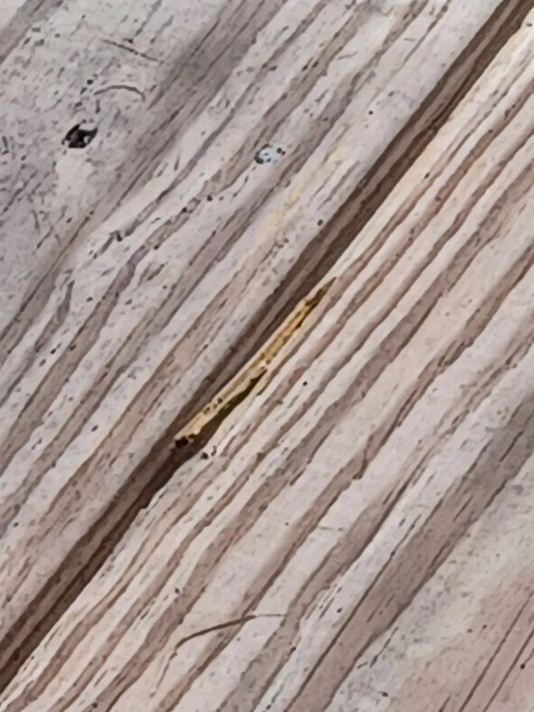 Slide of Ocean State Home Improvement