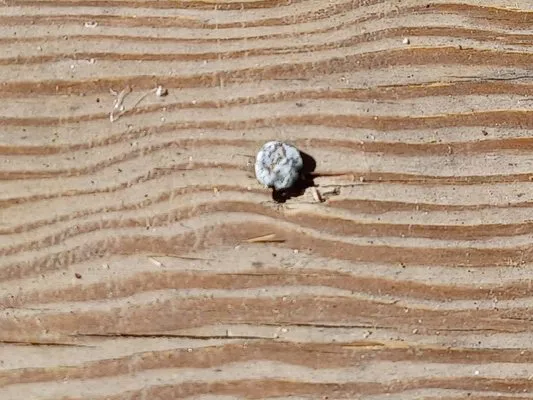 Ocean State Home Improvement