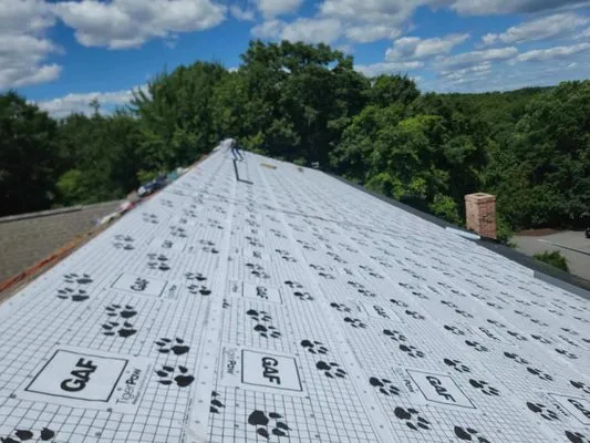 Ocean State Partners Logo