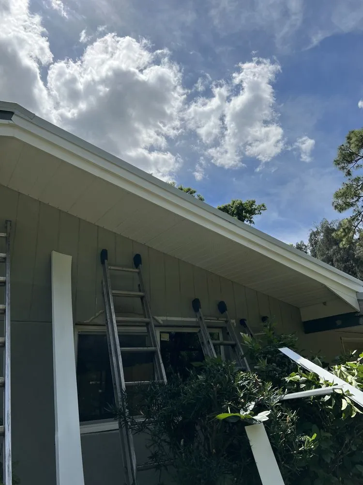 Slide of Octopus Soffit and Fascia