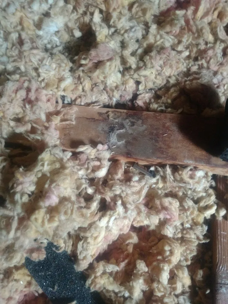 Slide of O'Danny Boy Builders