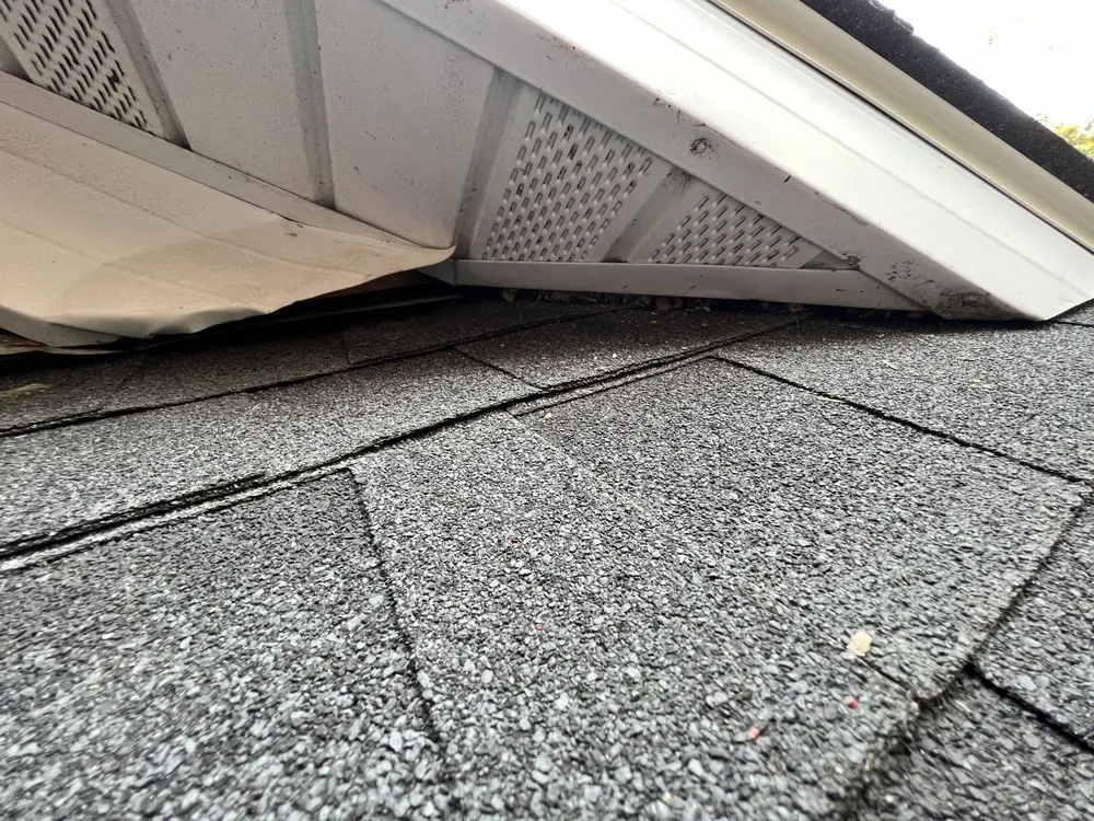 Slide of O'Danny Boy Builders