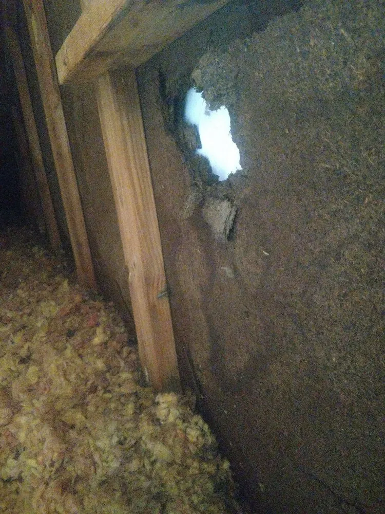 Slide of O'Danny Boy Builders