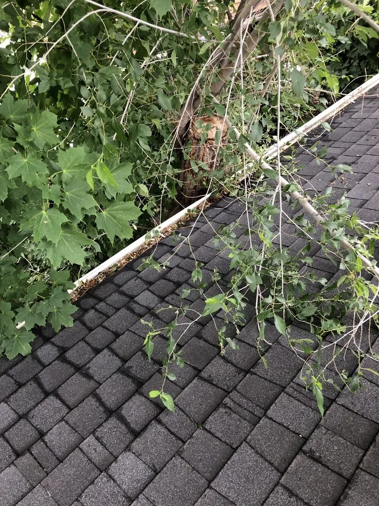 Slide of Ogden Rain Gutter Cleaning Service Company