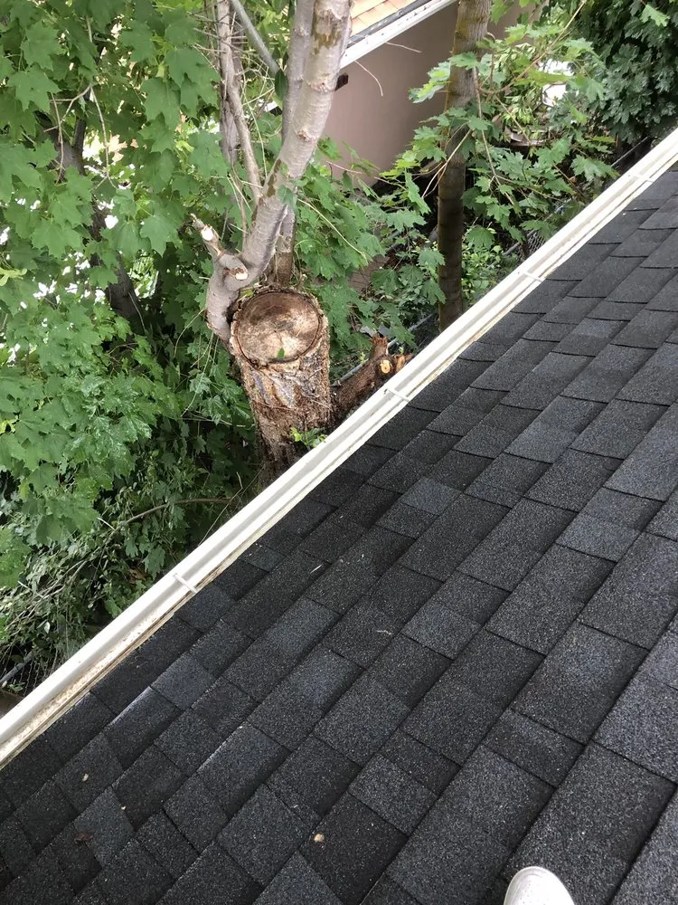 Slide of Ogden Rain Gutter Cleaning Service Company