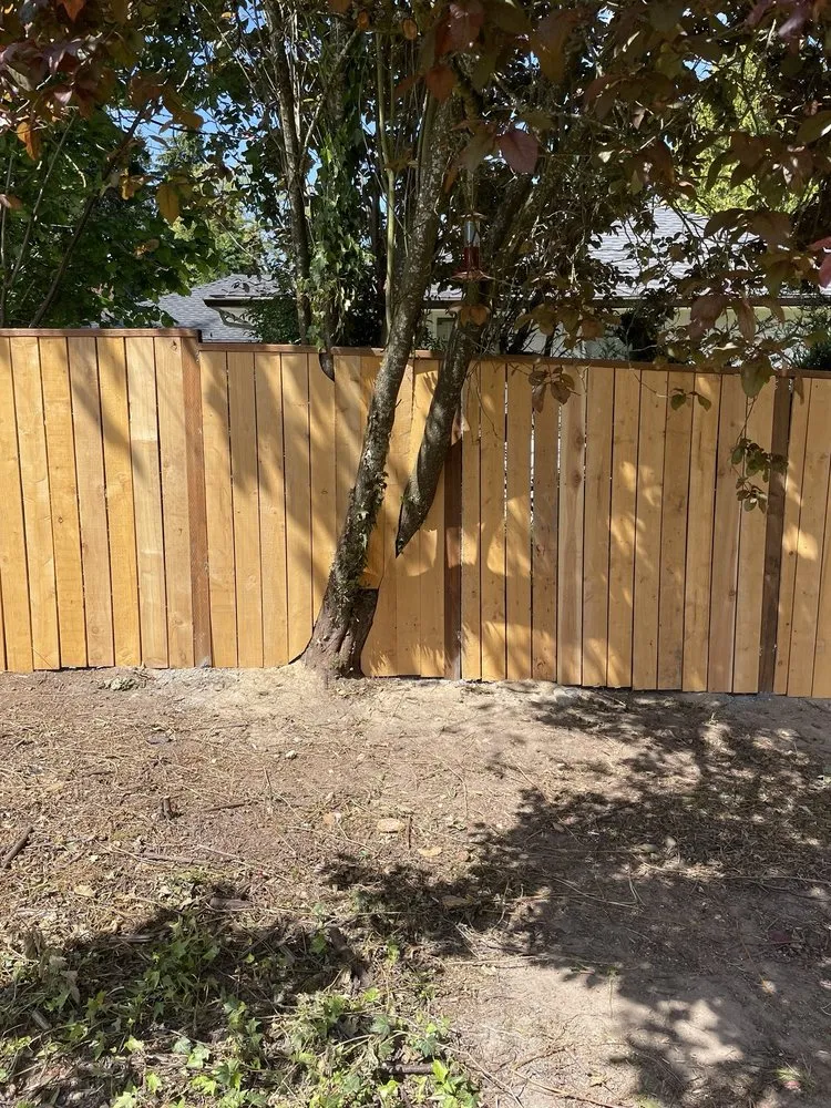 Slide of OJIBWE Construction