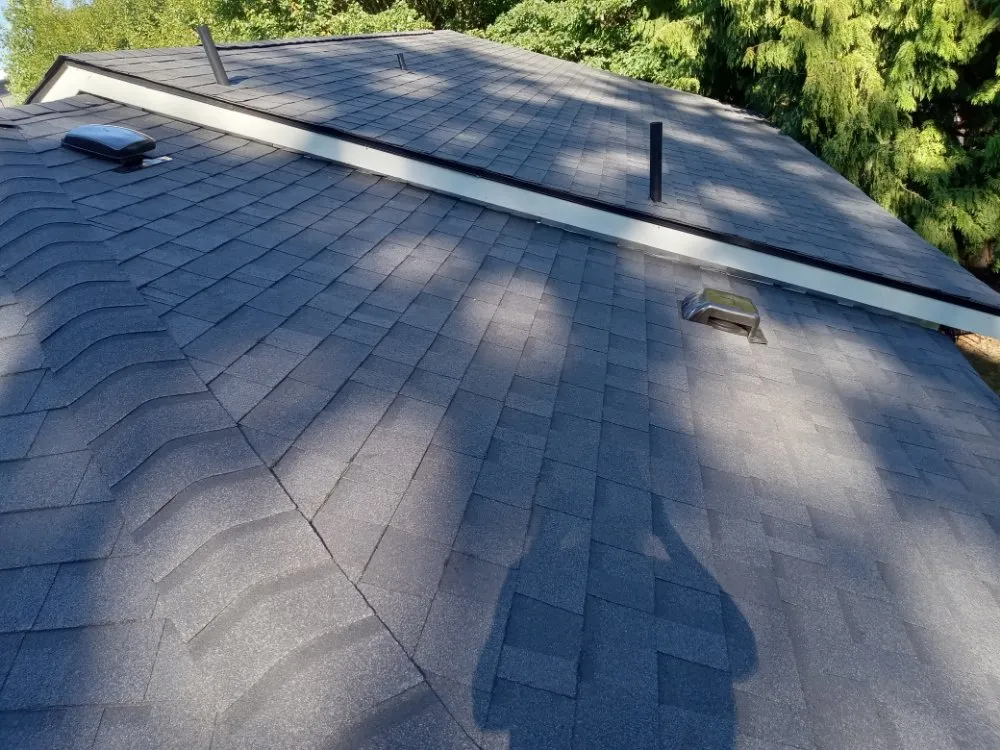 Slide of OJIBWE Construction