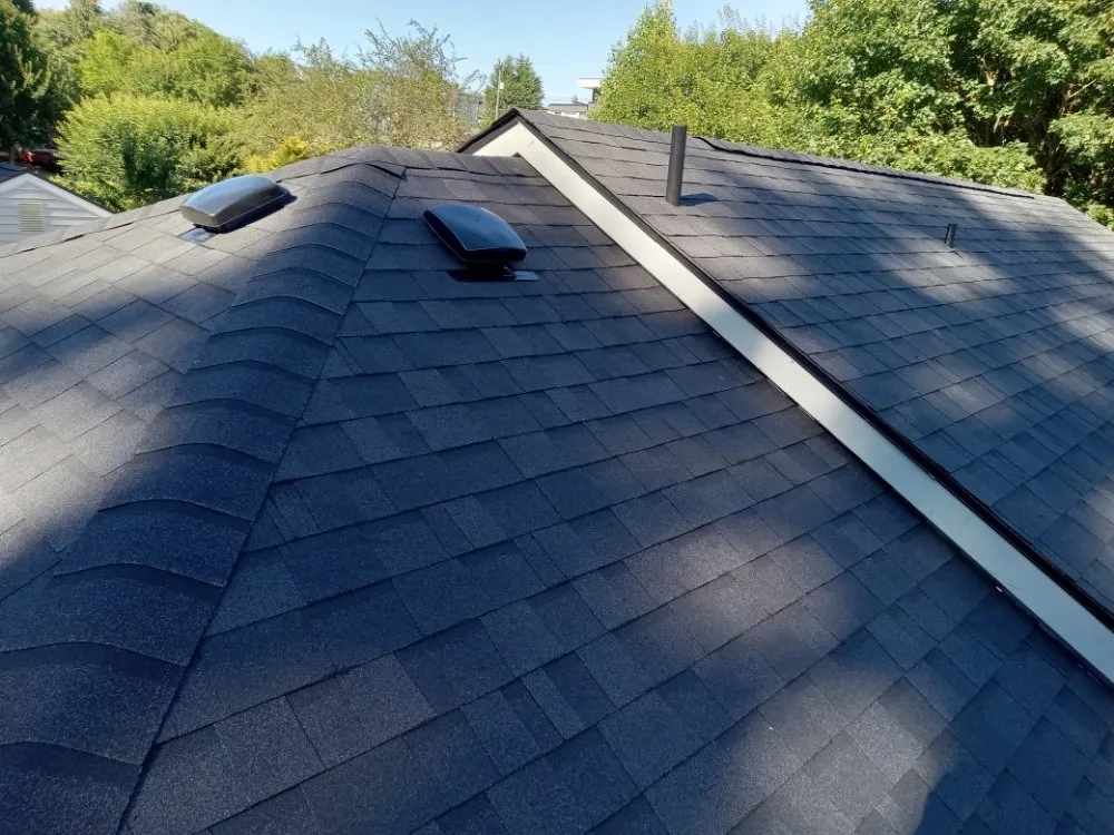 Slide of OJIBWE Construction