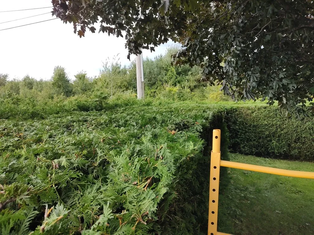 Slide of Old Country Services