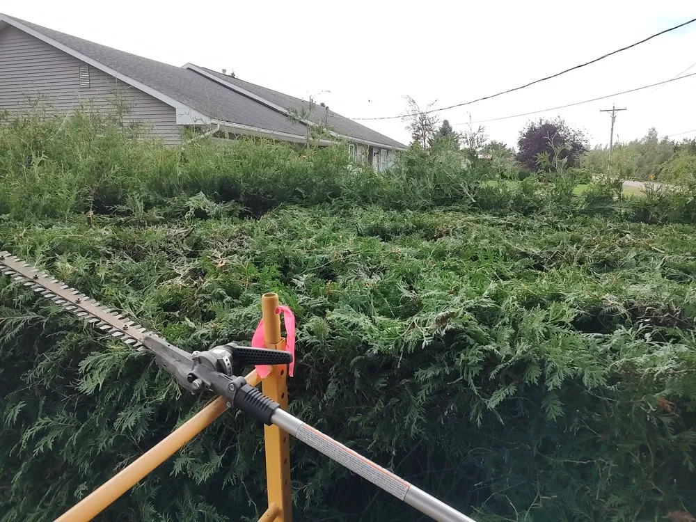 Slide of Old Country Services