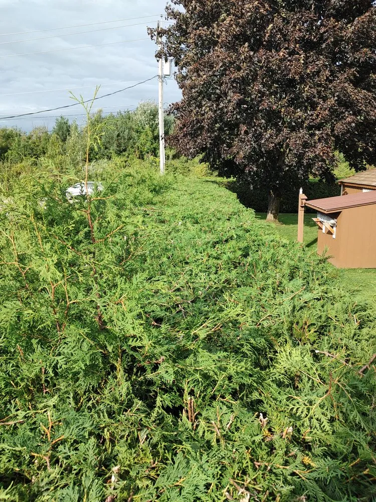 Slide of Old Country Services