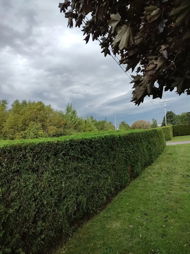 Slide of Old Country Services