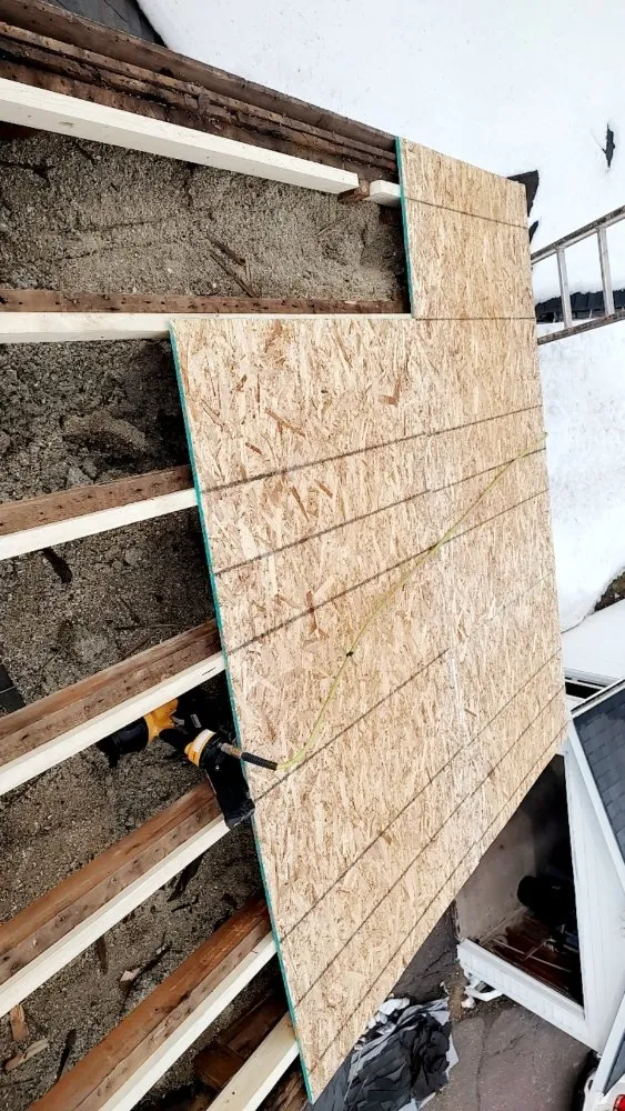 Slide of Old Dogs Construction